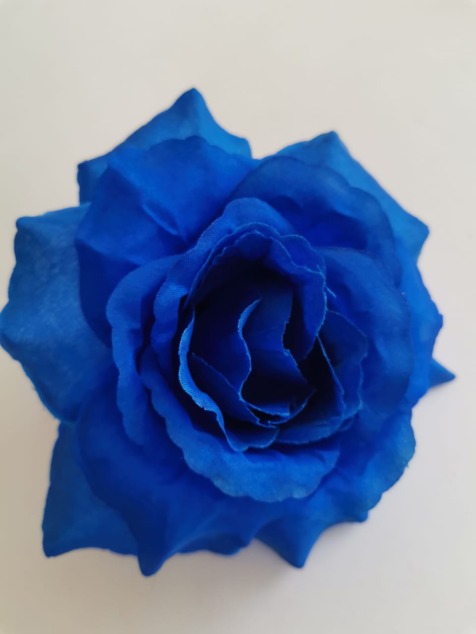 Роза Красота Люси синий - купить оптом и в розницу